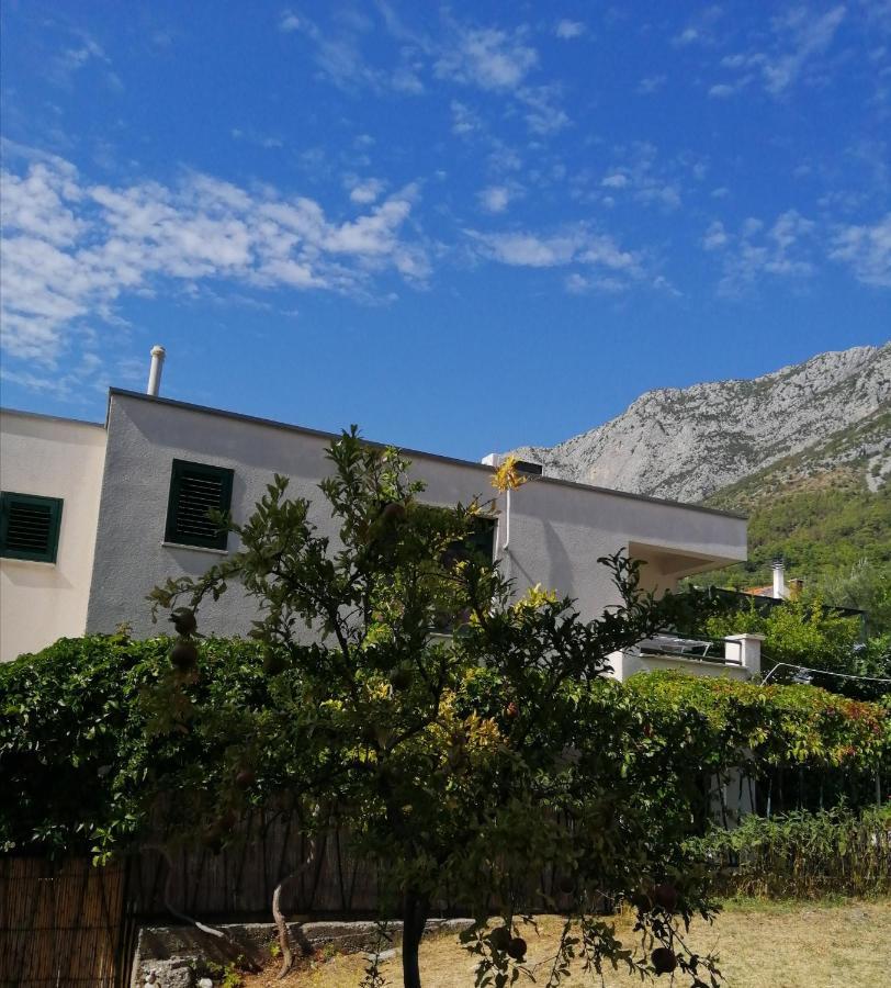 Laguna Apartament